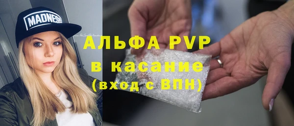 СК Алексеевка