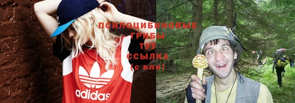гидропоника Алзамай