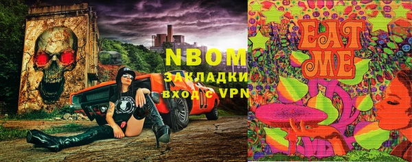 гидропоника Алзамай