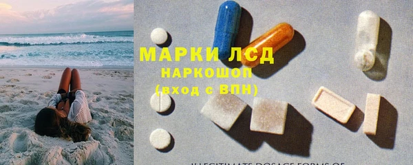 гидропоника Алзамай