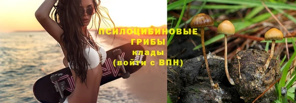 гидропоника Алзамай