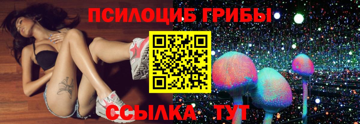 Тамбов  как найти закладки  Вход с VPN  Галлюциногенные грибы мухоморы  Галлюциногенные грибы Magic Shrooms 